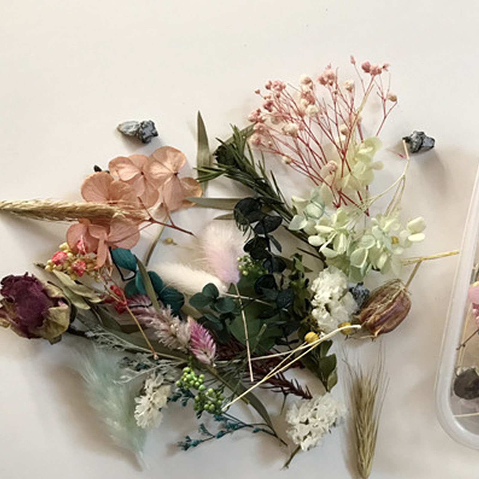 Natural Dried Flower Kit Press - Dried Herbs ulasan dan harga