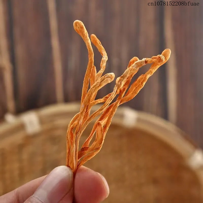 250g/500g Dried Cordyceps Flow - Dried Herbs ulasan dan harga