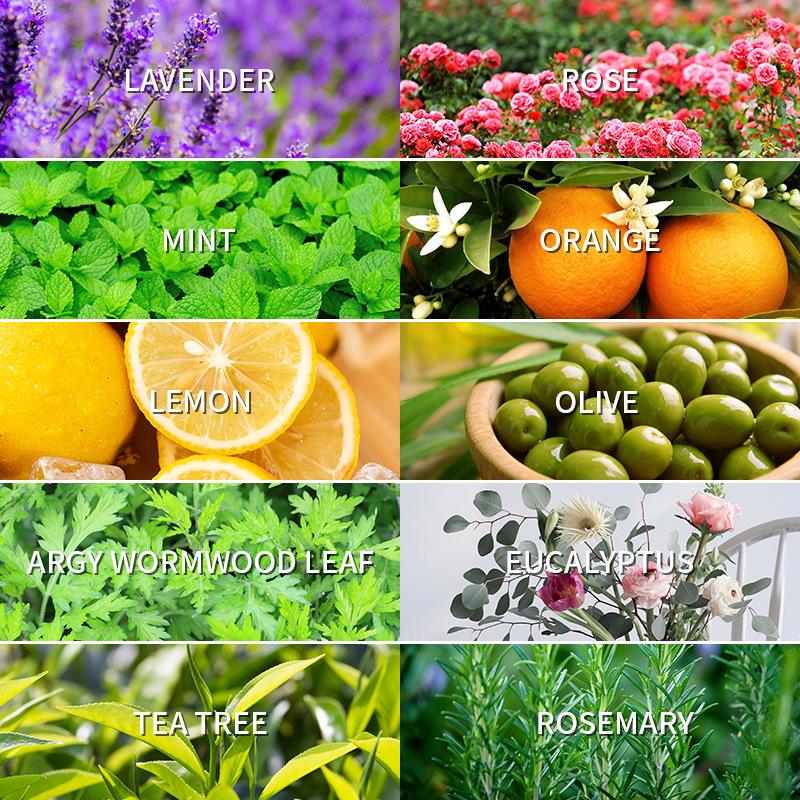 Aromatherapy Essential Oil 10m - Lavender Oil ulasan dan harga